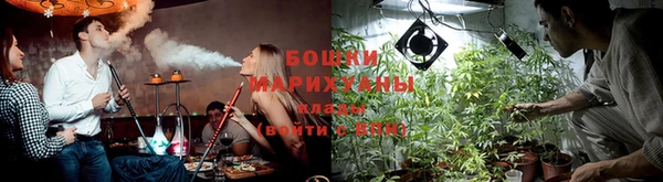 гидропоника Балахна